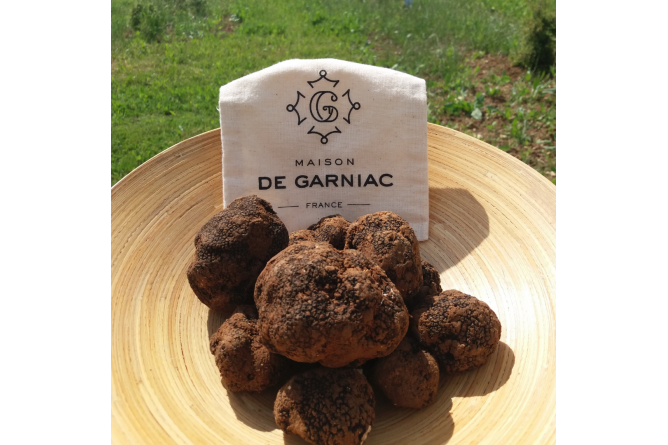 Discover the secret world of truffles