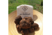 Discover the secret world of truffles