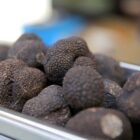Truffes fraîches et menus truffes