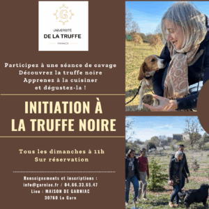 Initiation à la truffe : du cavage à la dégustation de truffes noires