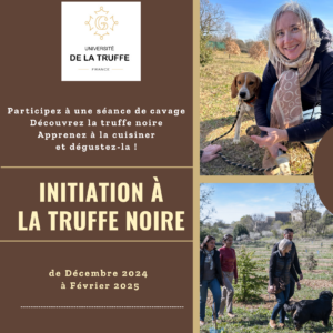 truffes noires