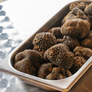 Truffes de Bourgogne - Tuber uncinatum